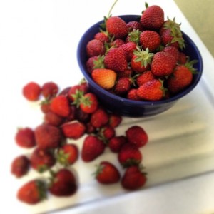 homegrown organic strawberries